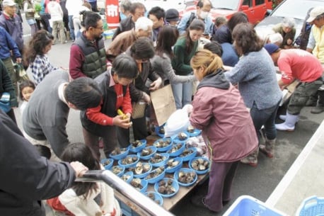 湘南漁業協同組合の朝市