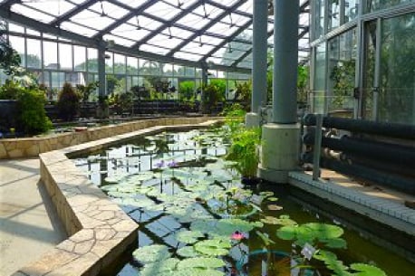 大船フラワーセンター