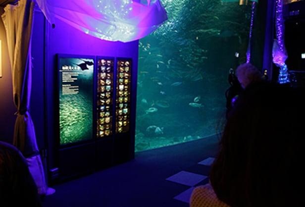 ♡New Enoshima Aquarium