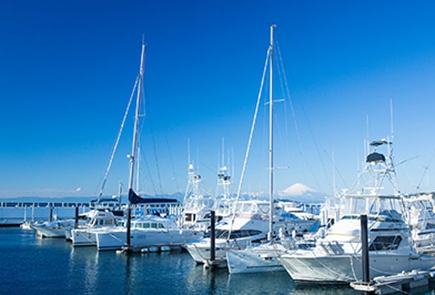 Zushi Marina