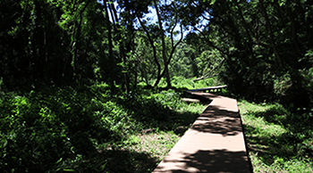 Miura Peninsula - Family course for fully enjoying the nature