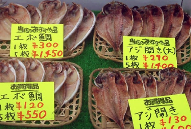 Aim is the tip of Manazuru Peninsula, Cape Manazuru