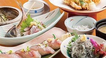 Whitebait Simply Scalded and Local Fish Kattobi Main Store