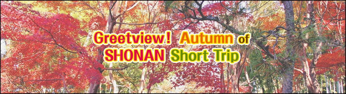 Stunning views! Recommended short trips to SHONAN to experience Autumn