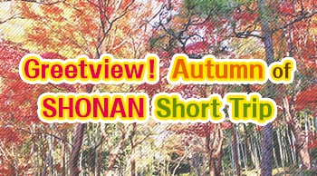 Stunning views! Recommended short trips to SHONAN to experience Autumn
