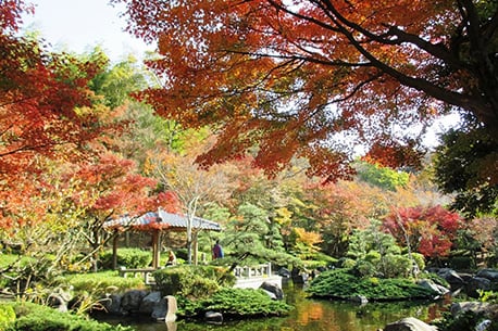 Oisojoyama Park