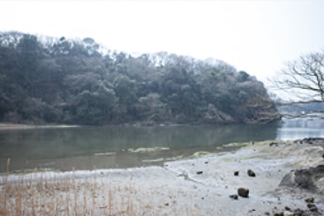 Koajiro no Mori (Koajiro Forest)