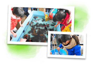 Sea creature touch pool