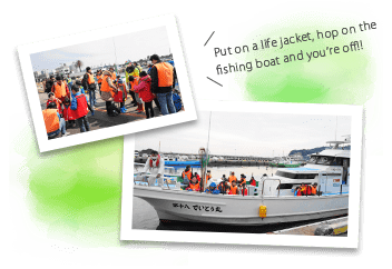 A mini cruise to the wakame seaweed farming shelves