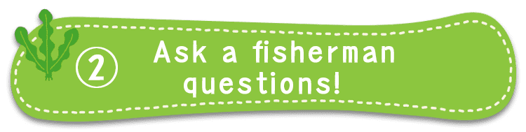Let's ask the fishermen!
