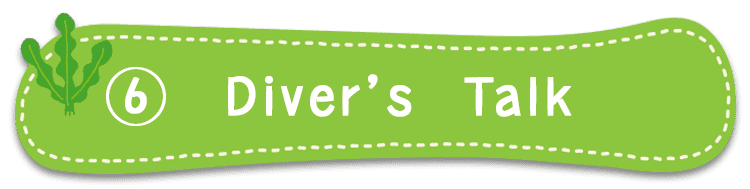 Divers Talk