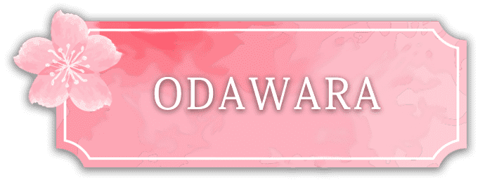 ODAWARAエリア