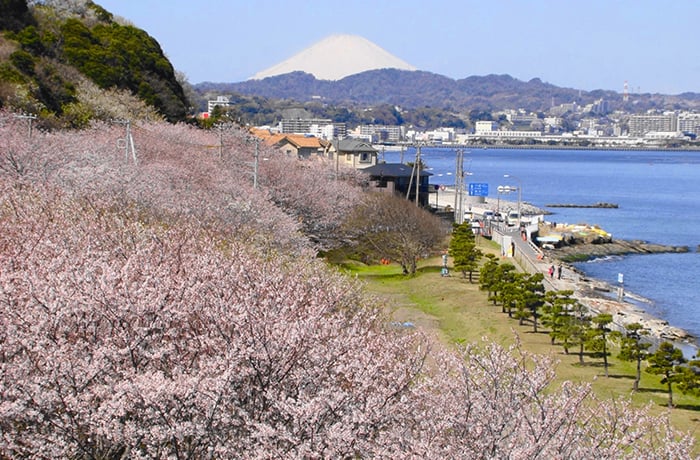Hashirimizu Water source