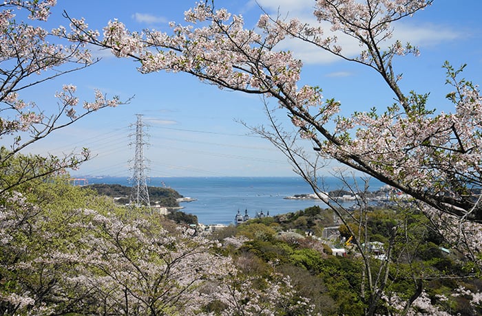 Tsukayama Park