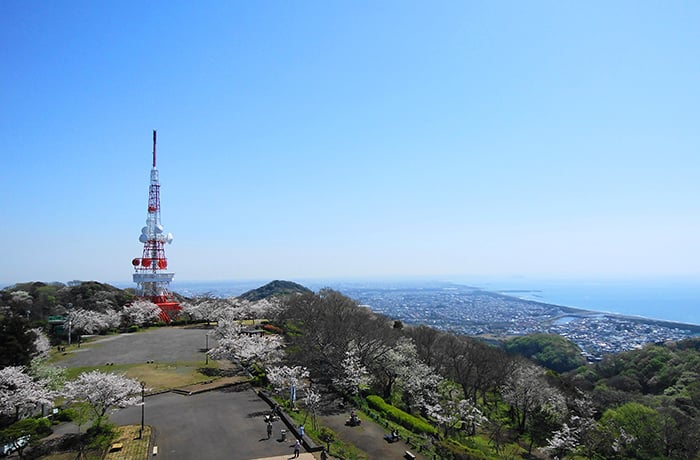 Shonandaira (Komayama Park)