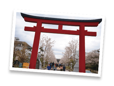 Tsurugaoka Hachimangū Shrine