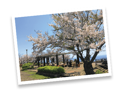 Shonandaira (Komayama Park)