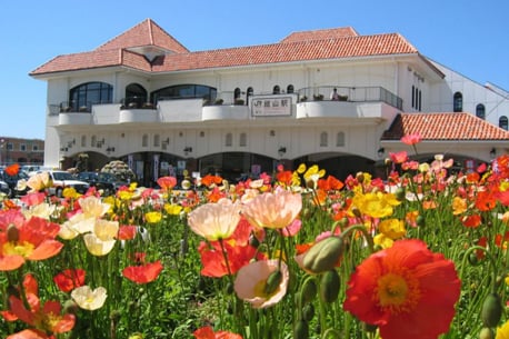 Tateyama Temporary Flight Service Special Tour