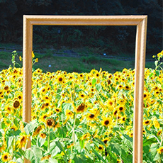 Kurihama Flower Park3