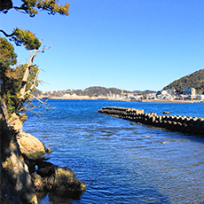 Morito Daimyojin (Morito Shrine) 2