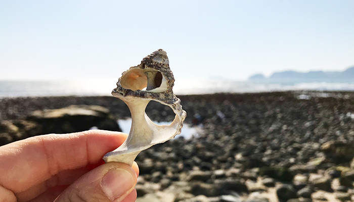 Playing on the seashores in Wakae island on afternoon3