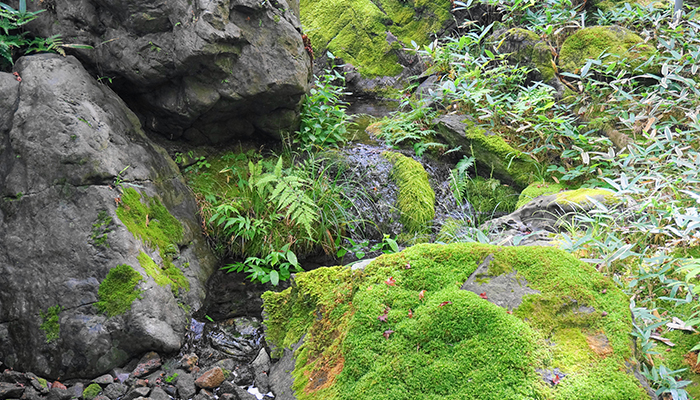Ichijo Ekan Sanso Namerigawa River3