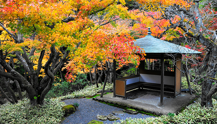 Ichijo Ekan Sanso The Autumn Colour Scenery2