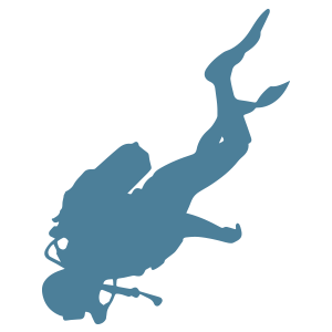 Barrier-Free Diving Festival pc