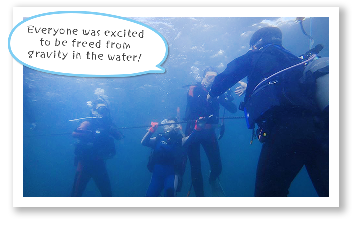 バリアフリーダイビングフェスティバル