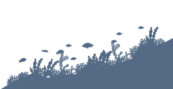 Barrier-Free Diving Festival