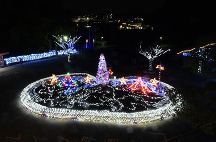 くりはま花の国　ウィンターイルミネーション