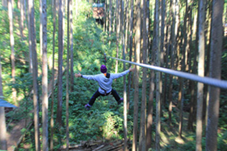 Forest Adventure Odawara