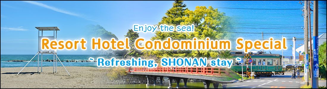 Resort Hotel Condominium Special