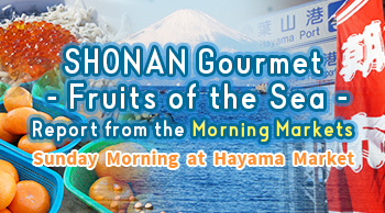 SHONAN Gourmet - Fruits of the Sea - Report from the Morning Markets