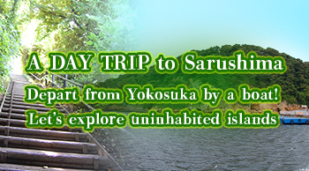 A DAY TRIP to Sarushima - Depart from Yokosuka by a boat! Let’s explore uninhabited islands