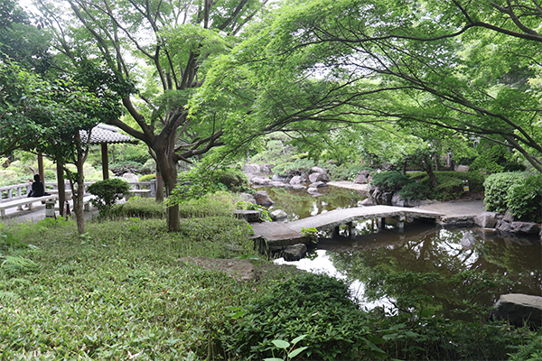 Oiso Joyama Park 1