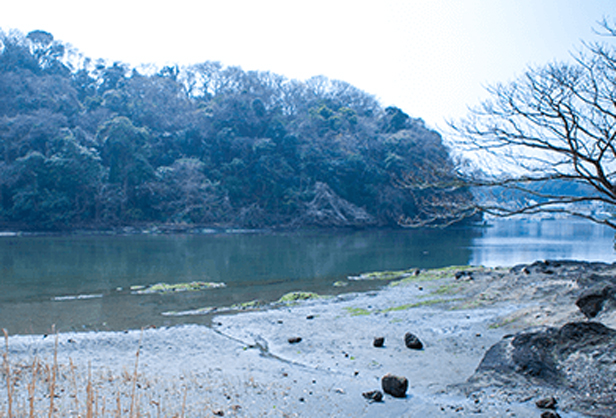 小網代の森の川