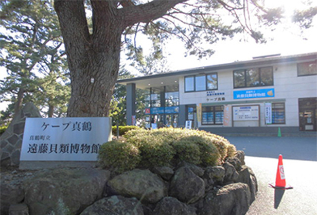 ケープ真鶴遠藤貝類博物館