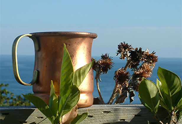 「ケープ真鶴」内のカフェ