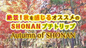 秋のオススメSHONAN散策スポット