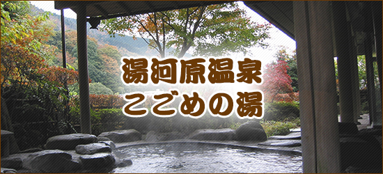 湯河原温泉 こごめの湯