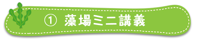 藻場ミニ講義