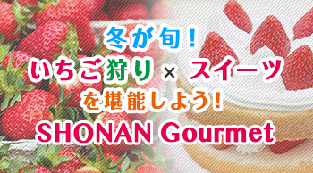 冬が旬!イチゴ狩り×スイーツを堪能しよう!