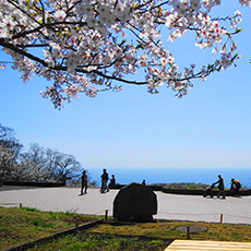 湘南平（高麗山公園）の広場