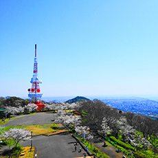 湘南平（高麗山公園）から見る夜景