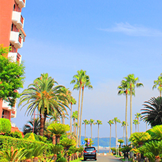 逗子マリーナの公園