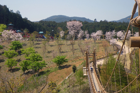 小田原こどもの森公園わんぱくらんど