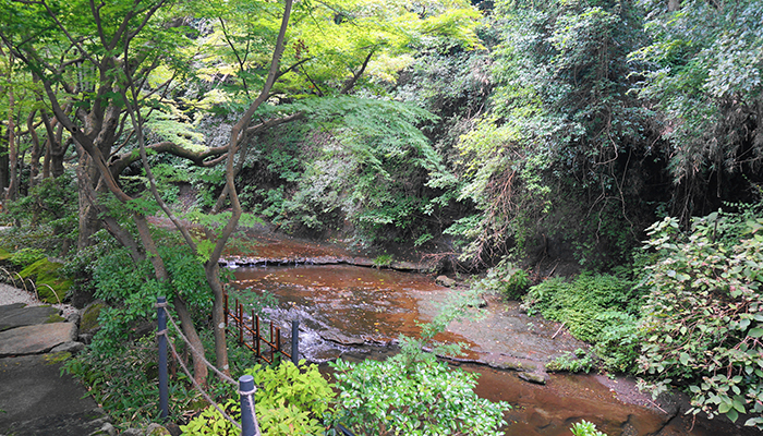 一条恵観山荘 滑川の渓流