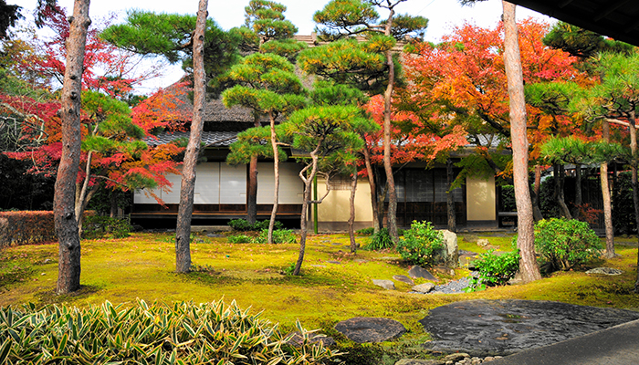 一条恵観山荘の紅葉