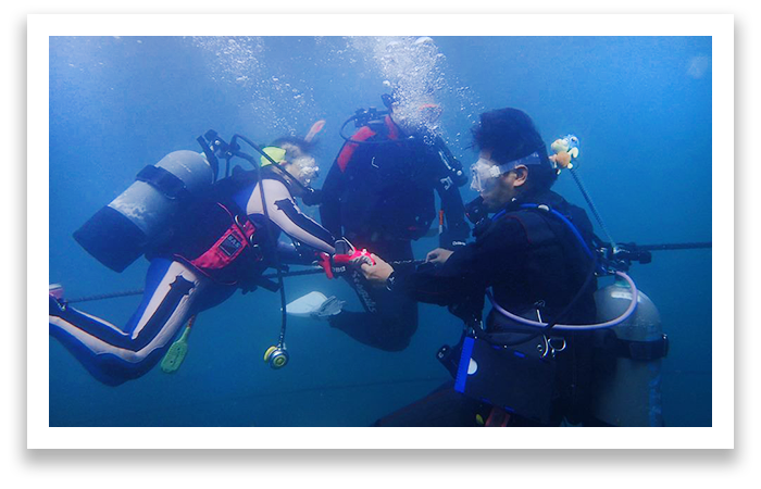 PC版　ダイビングしている障害者